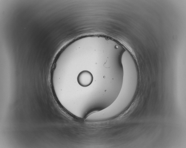 X0000111350797200907310951