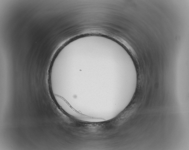 X0000111350799200907310951