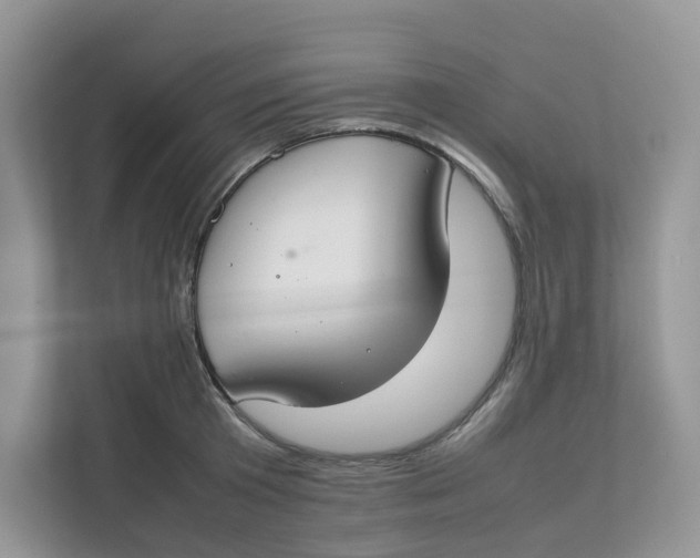 X0000111350801200907310951