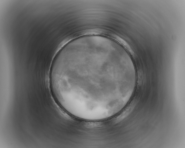 X0000111350802200907310951