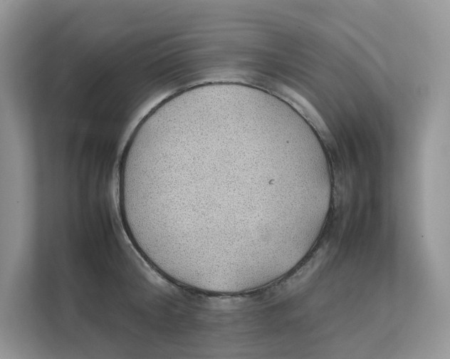 X0000111350804200907310951