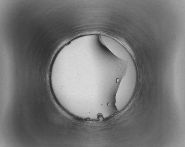 X0000111350805200907310951