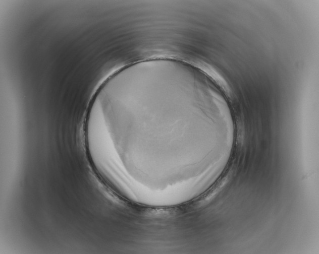 X0000111350806200907310951