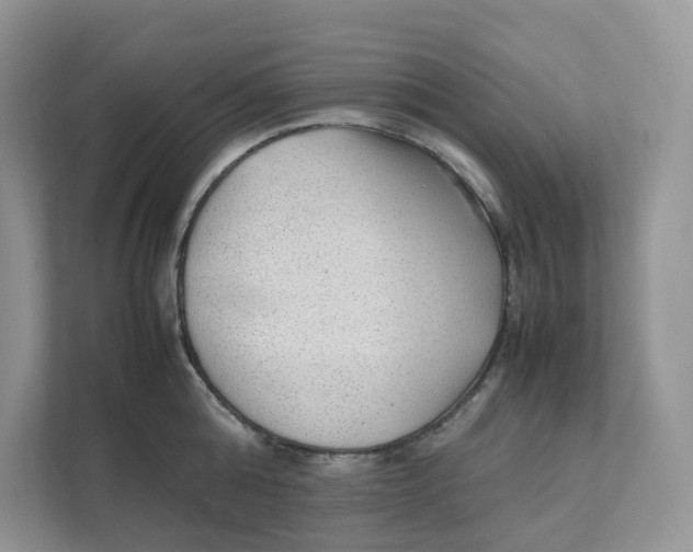 X0000111350808200907310951