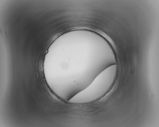 X0000111350809200907310951