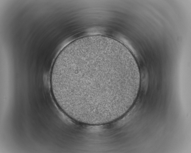 X0000111350810200907310951