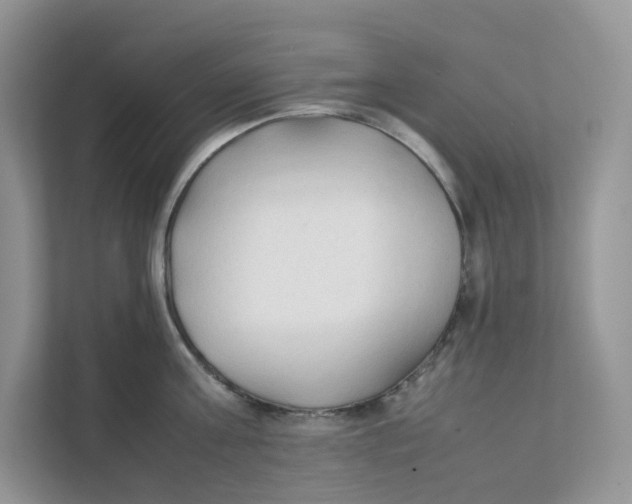 X0000111350811200907310951