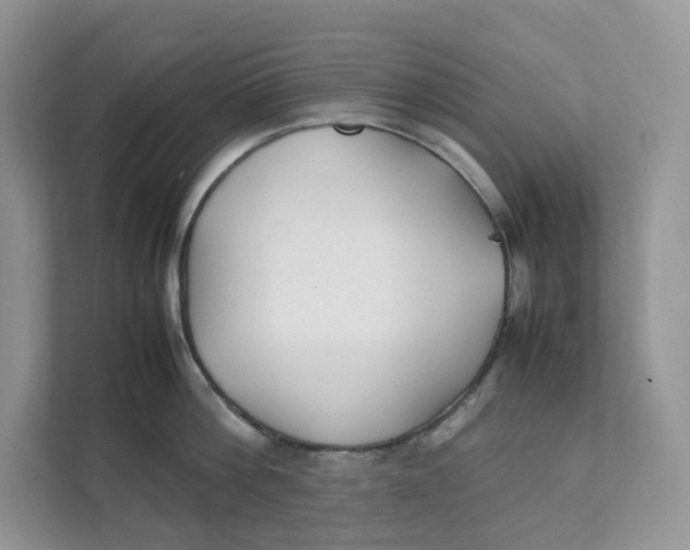 X0000111350812200907310951