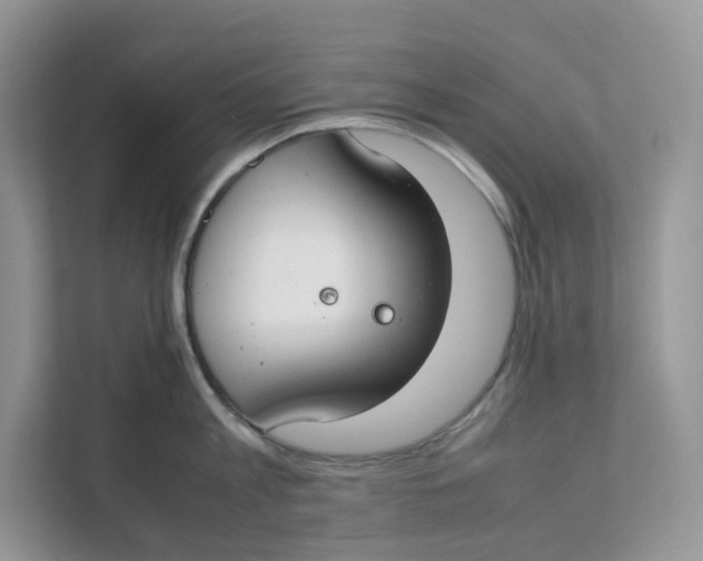 X0000111350813200907310951