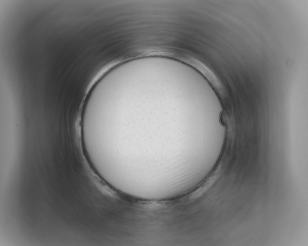 X0000111350814200907310951