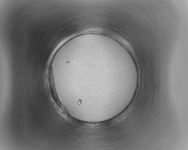 X0000111350816200907310951