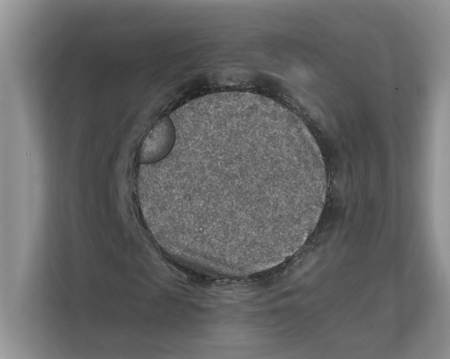 X0000111350817200907310950