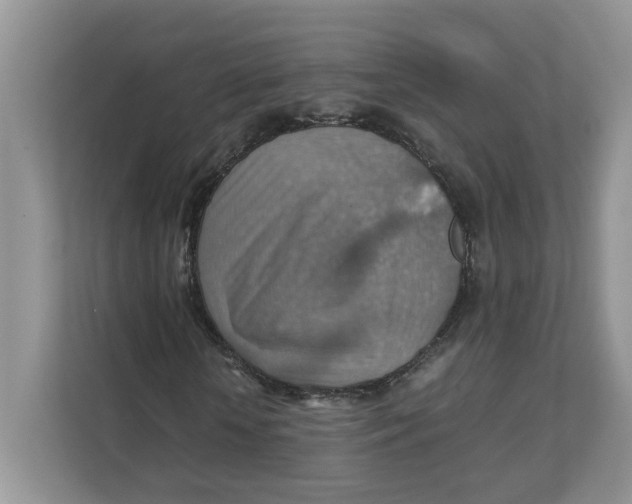 X0000111350818200907310950