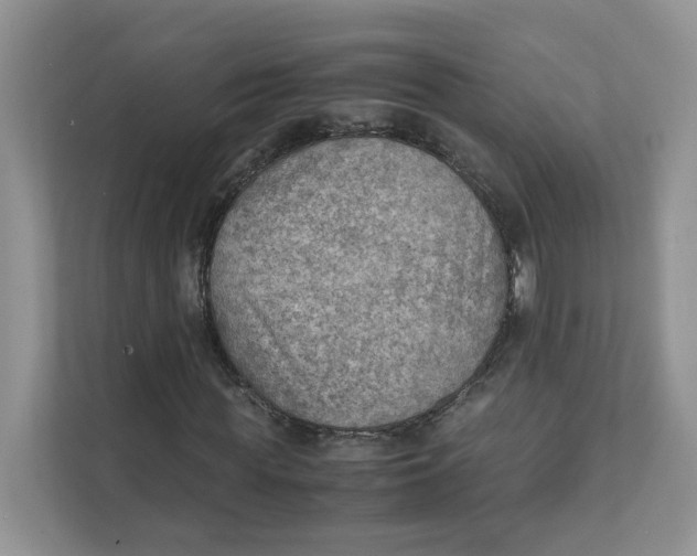 X0000111350819200907310950