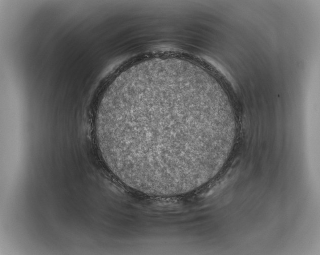 X0000111350823200907310950