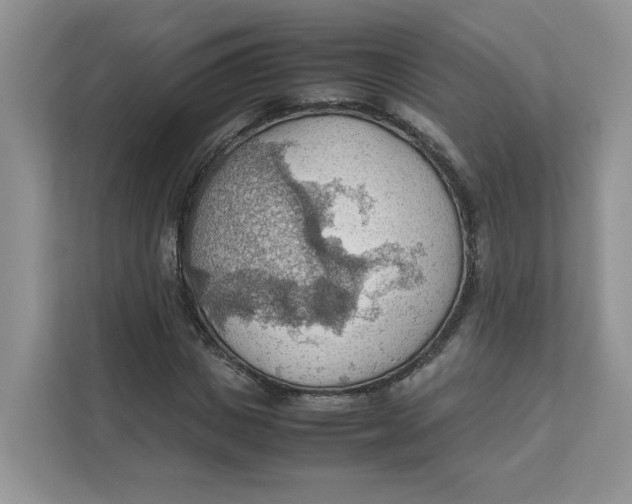 X0000111350825200907310950