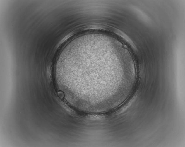 X0000111350826200907310950