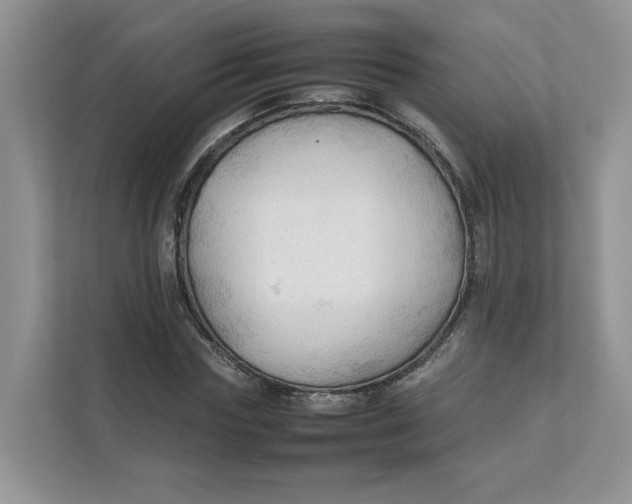 X0000111350827200907310950