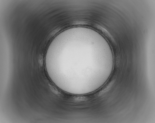 X0000111350833200907310950