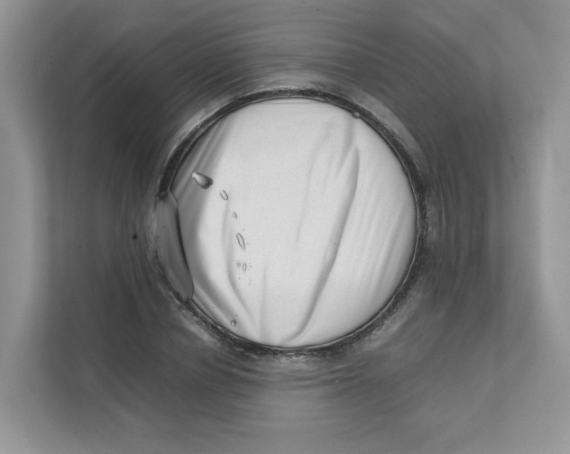 X0000111350834200907310950