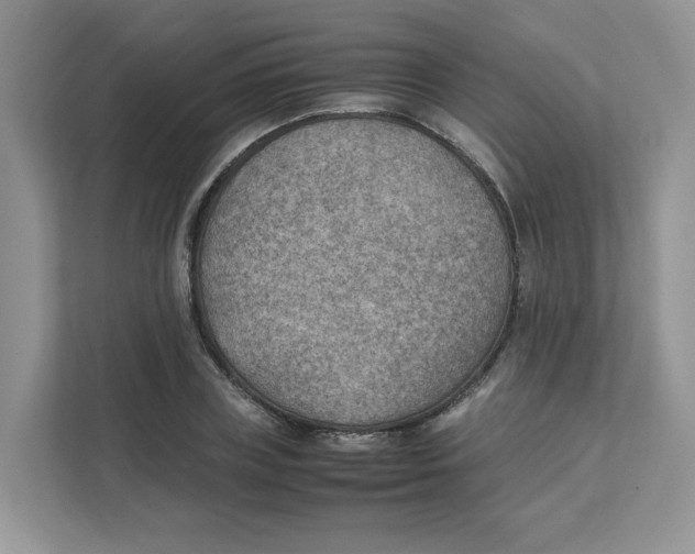 X0000111350835200907310950