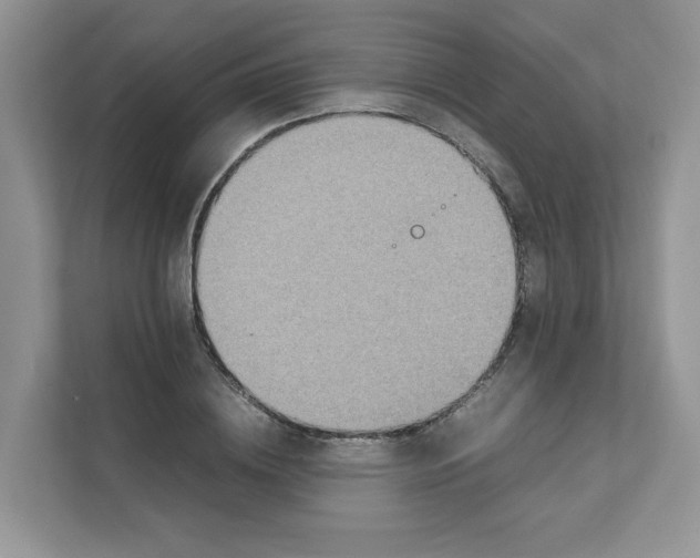 X0000111350836200907310950