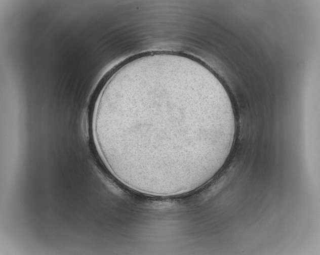 X0000111350838200907310950