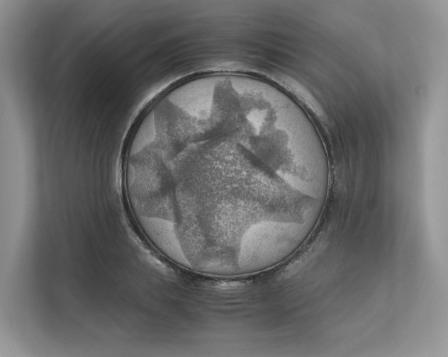 X0000111350839200907310950