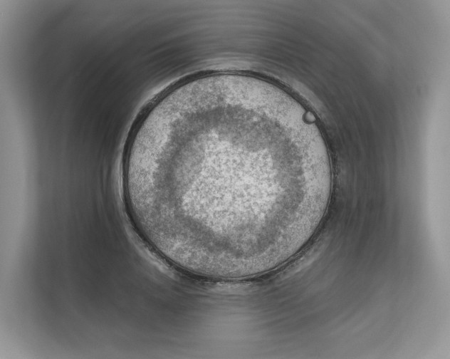 X0000111350840200907310950