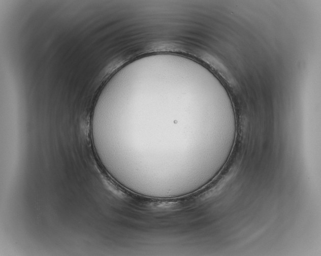 X0000111350841200907310950