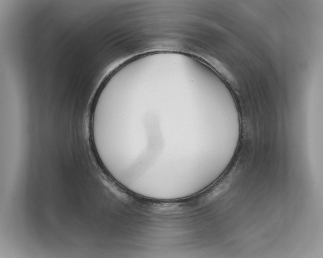 X0000111350846200907310950