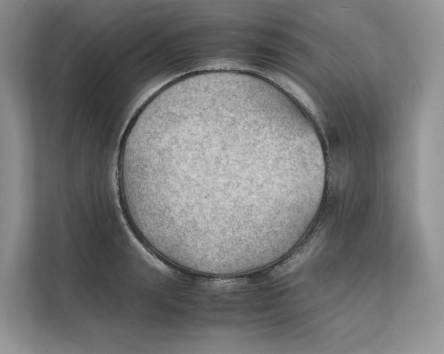 X0000111350847200907310950