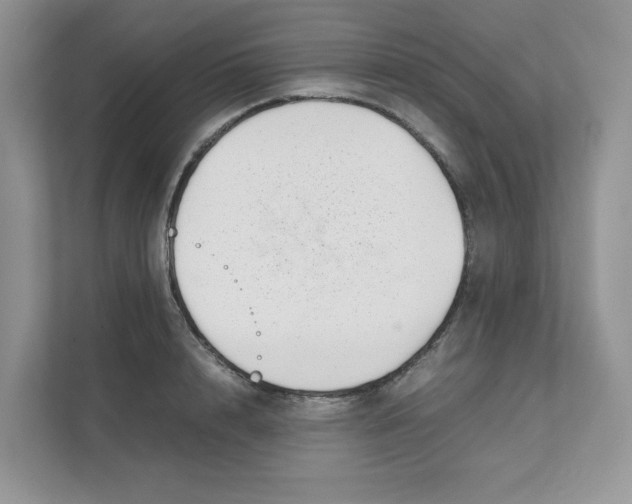 X0000111350848200907310950