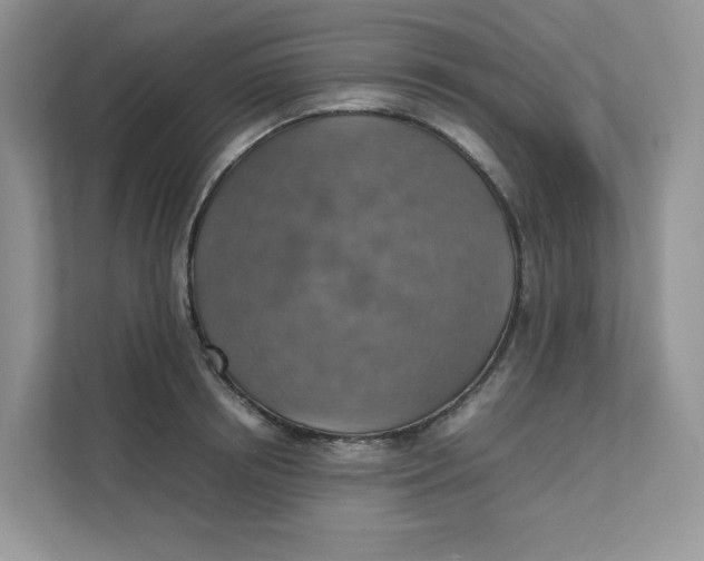 X0000111350850200907310950