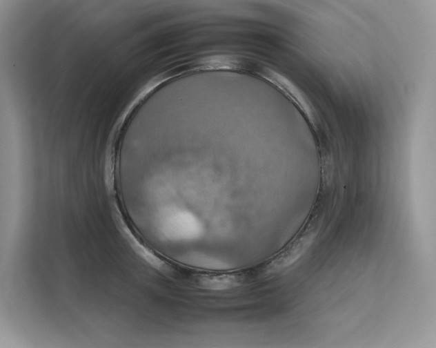 X0000111350851200907310950