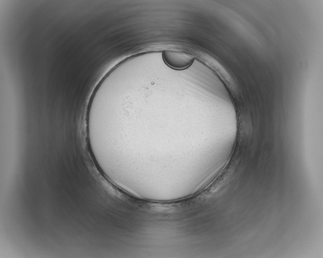 X0000111350852200907310950