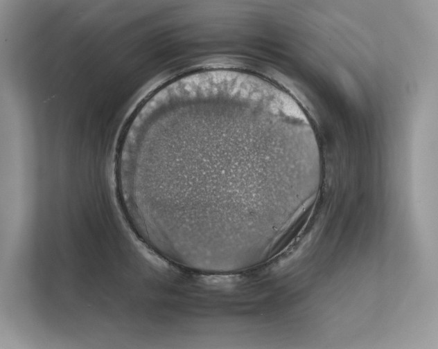 X0000111350853200907310950