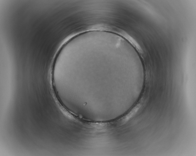 X0000111350854200907310951