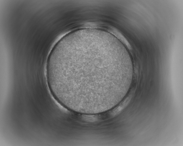 X0000111350855200907310951