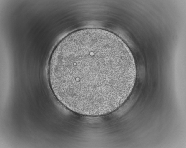 X0000111350856200907310951