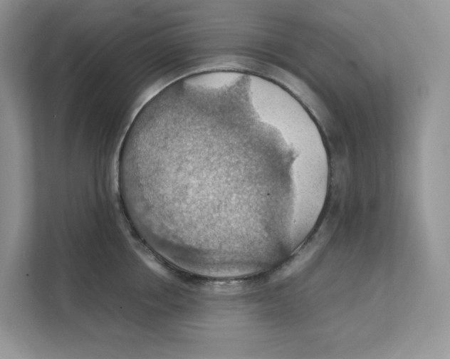 X0000111350858200907310951