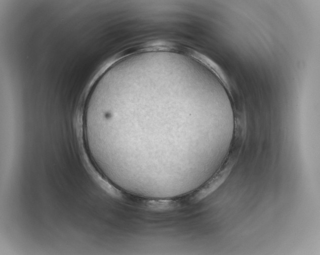 X0000111350859200907310951