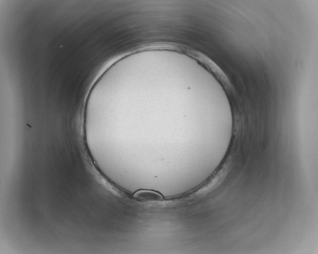 X0000111350860200907310951