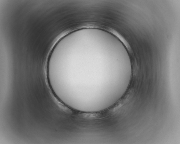 X0000111350861200907310951