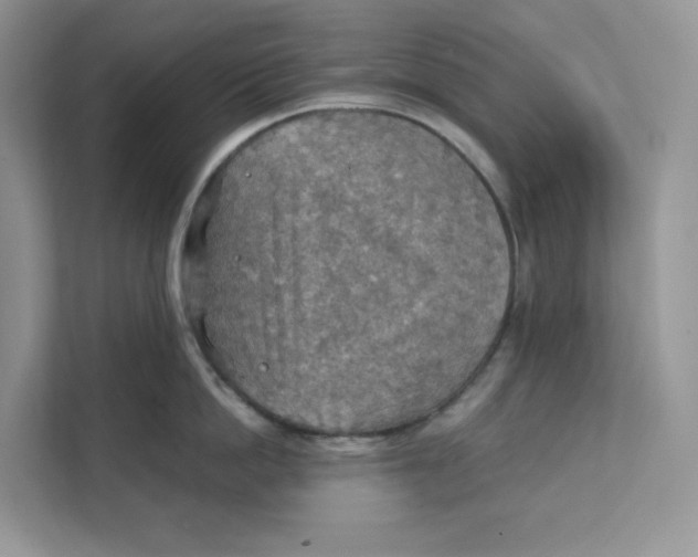 X0000111350862200907310951