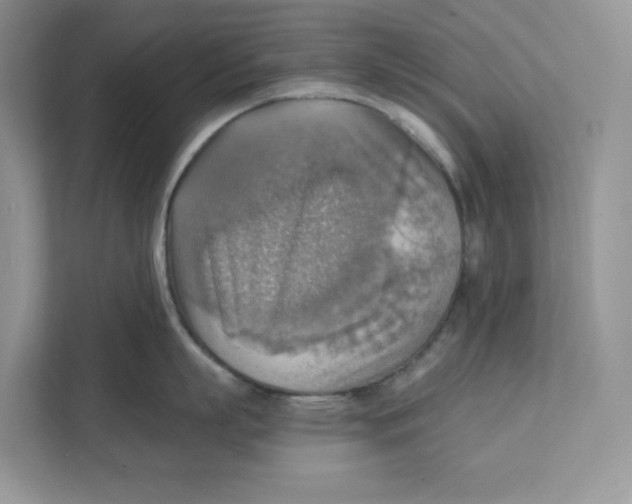 X0000111350863200907310951