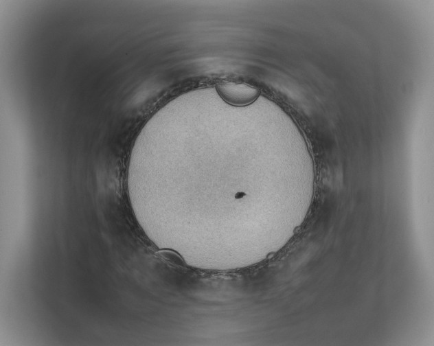 X0000111350869200907310950