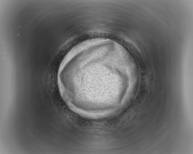 X0000111350870200907310950