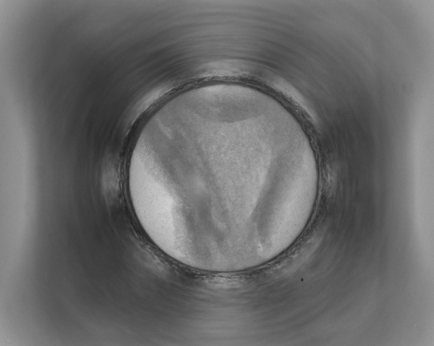 X0000111350874200907310950