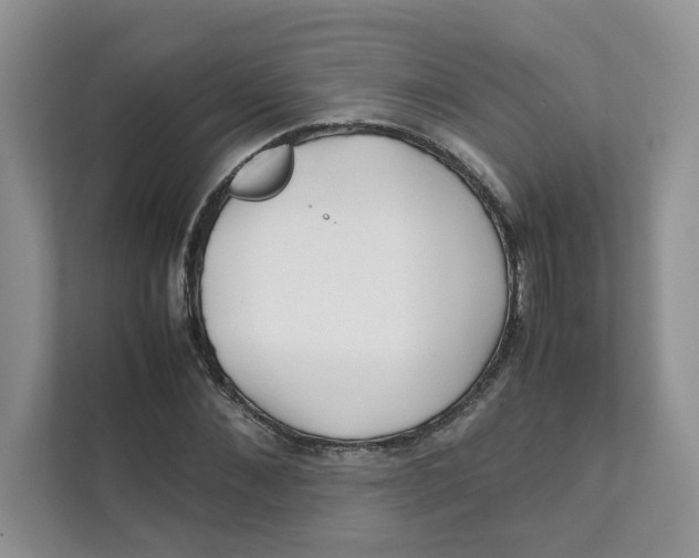 X0000111350876200907310950